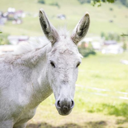 Untersillerhof Neustift im Stubaital Exterior foto